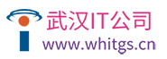 武漢深度動力科技有限公司